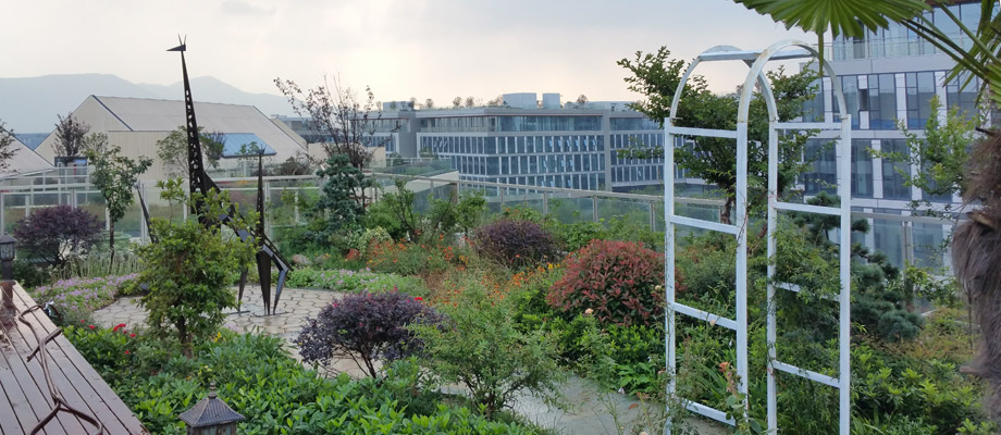南京萬(wàn)通城市建設設計院弱電系統項目案例。